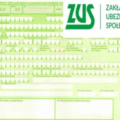 Czy do L4 potrzebny jest NIP pracodawcy? Sprawdź, co musisz wiedzieć