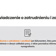 Zaświadczenie o zatrudnieniu - do czego jest naprawdę potrzebne?